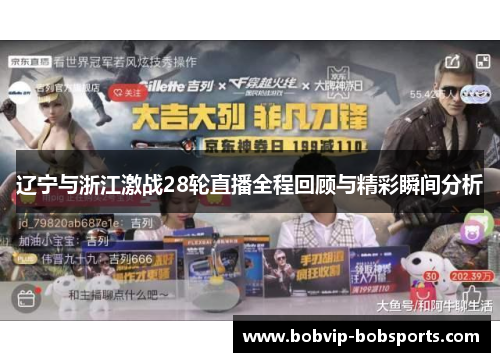 辽宁与浙江激战28轮直播全程回顾与精彩瞬间分析